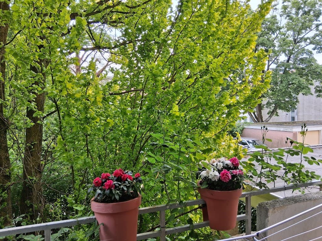 M & N Hausverwaltung