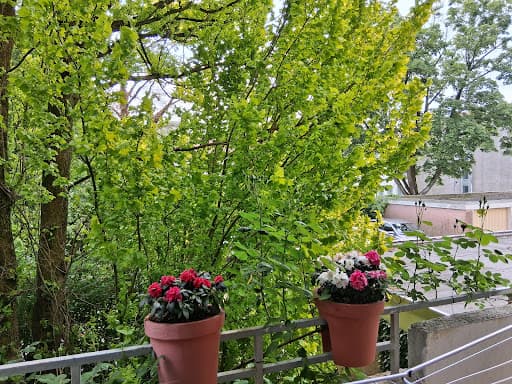 M & N Hausverwaltung — Kundenfoto