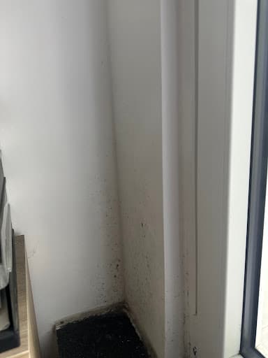 Rütter Immobilien GmbH — Kundenfoto